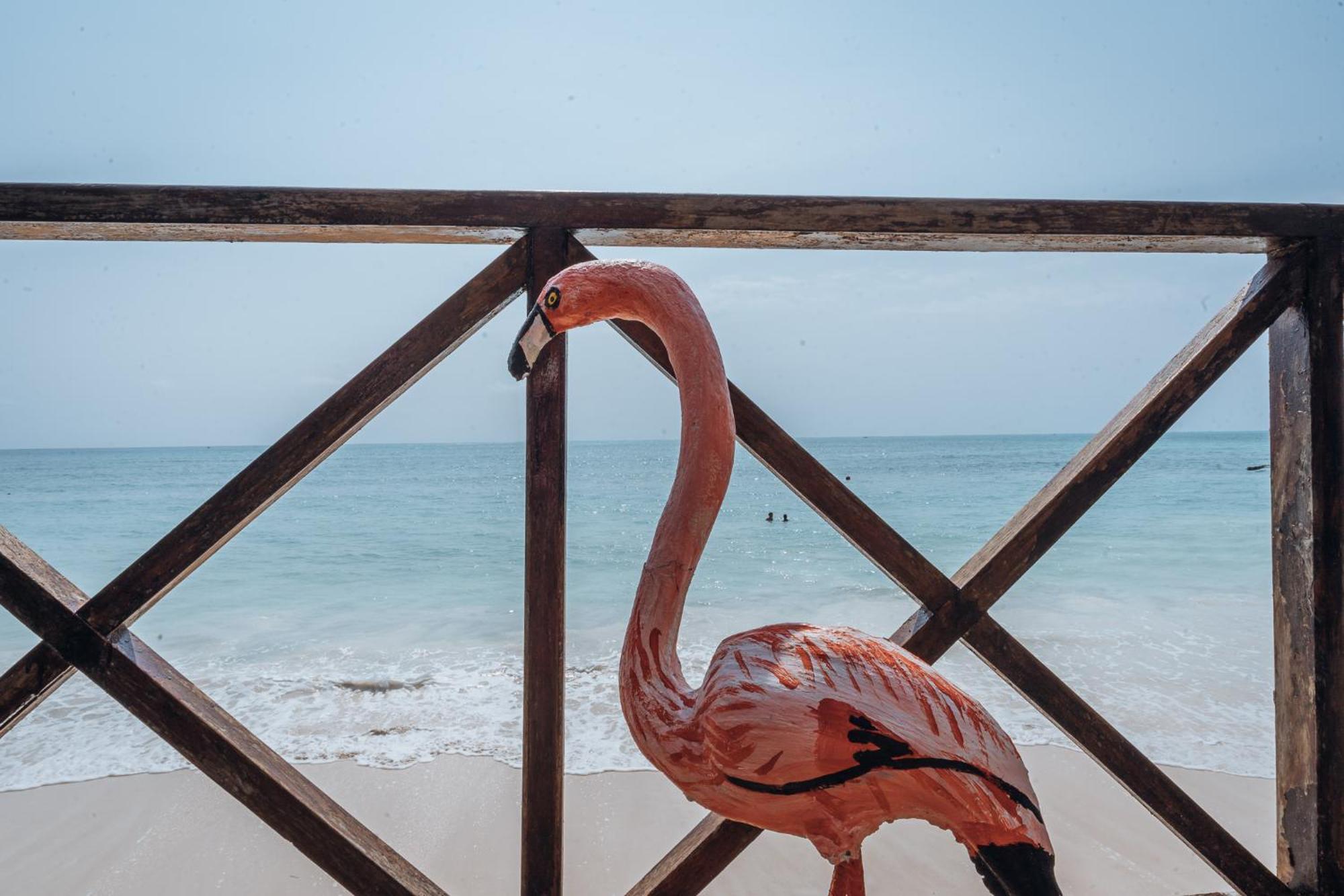 Pili Pili Boho Beach Jambiani  Dış mekan fotoğraf