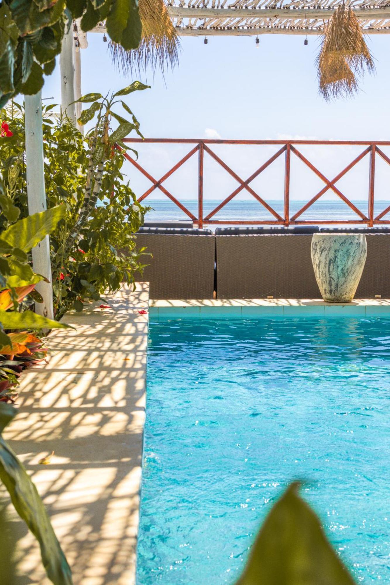 Pili Pili Boho Beach Jambiani  Dış mekan fotoğraf