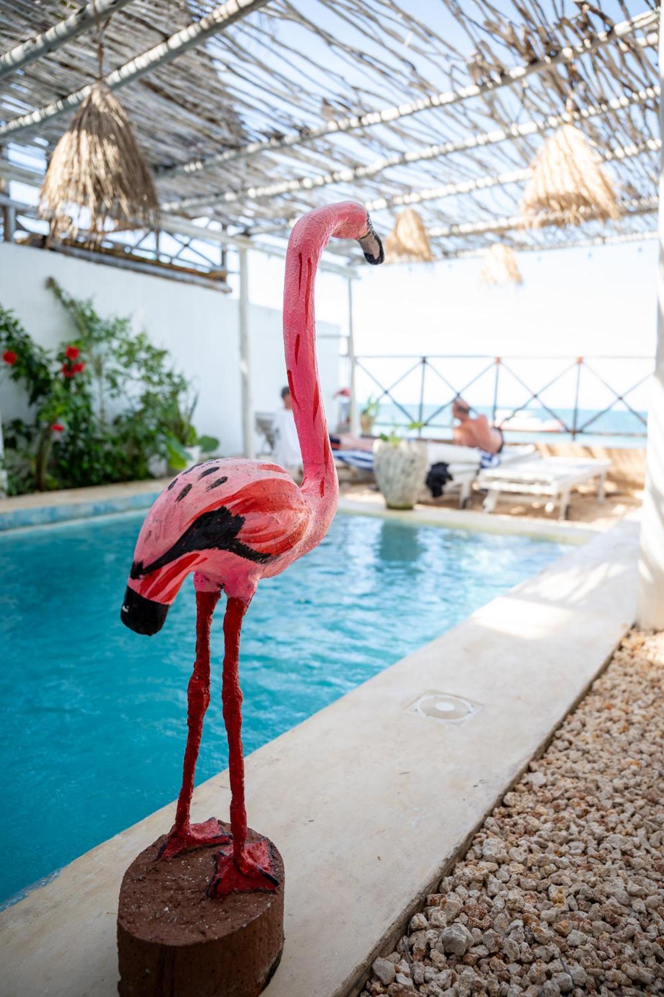 Pili Pili Boho Beach Jambiani  Dış mekan fotoğraf
